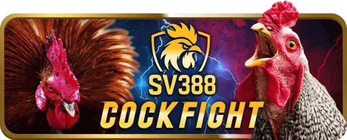 Các biện pháp bảo mật tài khoản bet66 login
